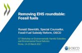 Removing EHS roundtable: Fossil fuels · would undertake a reciprocal peer review of their fossil-fuel subsidies under the G20 process. •Other countries—Germany, Mexico, and Indonesia—have