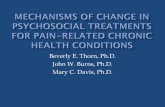 Beverly E. Thorn, Ph.D. John W. Burns, Ph.D. Mary C. Davis ...bthorn.people.ua.edu/uploads/1/3/8/0/13808171/sbm... · chronic pain (Thorn, Day, Burns et al., 2011) Two conditions: