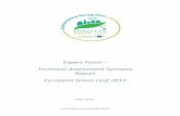 Expert Panel – Technical Assessment Synopsis …ec.europa.eu/environment/europeangreencapital/wp-content/...European Green Leaf Expert Panel – Technical Assessment Synopsis Report