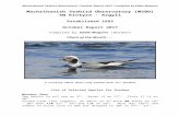 Machrihanish seabird & Wildlife Observatory€¦ · Web viewControlled at Connah’s Quay on 12th February and 11th March 2016. Retrapped at MSBO on 28th September 2016. Controlled