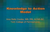 Knowledge to Action Model - WordPress.com · Knowledge translation for effective consumers. Physical Therapy: Journal of the Amercan Physical Therapy Association, 87, 1728-1738. White,