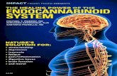 THE HE LING PO ENDOCANNABINOID SYSTEM€¦ · In 2003, Dr. Ethan Russo developed a term for this condition: clinical endocannabinoid deﬁciency syndrome (CEDS). Since then, there’s