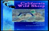 California Wild Sheepcawsf.org/pdf/CAFNAWS - Fall 2009 - web.pdf · Bryanston RSA 2021 SOUTH AFRICA hvjoory@mweb.co.za 011 27 11 708 1969 Josh Chrisman 28585 Teresa Springs Tollhouse,