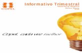 Informativo Trimestral - Copel · In the first quarter of 2009, COPEL recorded net income of R$ 272.1 million, which corresponded to R$ 0.99 per share. Dividends and Interest on Capital: