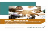 Senior Team Synergy June2019-Subtitle · contribute to synergy and the characteristics that members of the senior leadership team must embody in order to achieve this kind of working