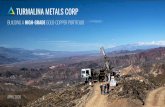 TURMALINA METALS CORP...Certain statements, beliefs and opinions in this Presentation (including those contained in graphs, tables and charts) are forward-looking, which reﬂect the