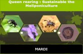 Queen Rearing: Malaysia Status · Meliponiculture. Introduction The queen bee of stingless bees are unable to find new colonies independently. ... Malaysia from June 2013 to June