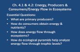 Ch. 4.1 & 4.2: Energy, Producers & Consumers/Energy Flow ...blogs.4j.lane.edu/.../ch...5_18_energy-energy-flow.pdf · ch 4.1 & 4.2 notes_2018_5_18_energy & energy flow Created Date: