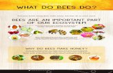 what do bees do? - National Honey Board · Honey bees collect nectar to create honey and store as food because it provides the energy for bees’ flight muscles and provides heating