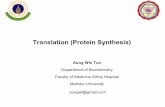 Translation (Protein Synthesis) · During Protein Synthesis Attachment of Amino acid to tRNA is the critical step for fidelity of genetic information. Formation of Aminoacyl tRNA