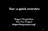 Tor: a quick overview · “Oh, your employees are reading our patents/jobs page/product sheets?” ... Viruses Exploits Phishing Spam Botnets Zombies Espionage DDoS Extortion. 21