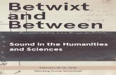 Betwixt and Between - MPIWG · 2018-02-12 · Betwixt and Between: Sound in the Humanities and Sciences The broad domain of acoustics that emerged in academic life throughout the
