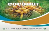 ICAR-CENTRAL PLANTATION CROPS RESEARCH INSTITUTE 6314.139.158.118/docs/Frepub/Coconut English No133.pdf · Fully matured nuts i.e. about 12 months old should be harvested. Care should