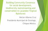 Building Community Consensus for social development, …cbc.iclei.org/wp-content/uploads/2017/01/1.-Albores_7A... · 2017-01-11 · The Lacandon Tropical Forest of Chiapas 1. The
