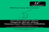 Information Leaflet for Women Vaginal Birth After ... · successful vaginal birth, your personal wishes and future fertility plans when making a decision about vaginal birth or caesarean