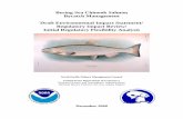  · Bering Sea Chinook Salmon Bycatch Management Draft Environmental Impact Statement/ Regulatory Impact Review/ Initial Regulatory Flexibility Analysis December 2008 Abstract: The