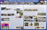 Natural History Conservation DESIGN GUIDE THIS SIDEBAR ...natural-history-conservation.com/AimPoster.pdfpreparation, conservation, curation, storage and display of geological, palaeontological,