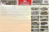 Nigel R. Larkin BA MSc FRGS - Natural History Conservationnatural-history-conservation.com/PyriteDecayPoster.pdf · Andrew, K. J. 1999. Conservation of the Whitby Saurians –Large