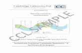 CCL Report Proforma - Cambridge Carbonates · FRACTURED CARBONATE SYSTEMS - INTRODUCTION ..... 5 2. FRACTURED CARBONATE RESERVOIRS OF THE ZAGROS FOLD-AND-THRUST BELT 10 2.1. Cenozoic