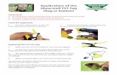 Application of the Shearwell TST Tag (flag or button) · Applying the TST ear tag 3. Make sure the animal is unable to move during tagging. 4. As with all ear tags, always place the