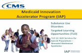 Medicaid Innovation Accelerator Program (IAP)€¦ · 13/03/2016  · • Reduce length of stay by 20% across sites by 12/1/16. ... MOMS Program: Multiple Paths to Engagement. A consumer