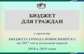 БЮДЖЕТ ДЛЯ ГРАЖДАН - Novosibirsk · на 2017 год и плановый период 2018 и 2019 годов БЮДЖЕТ ДЛЯ ГРАЖДАН. Каждый житель