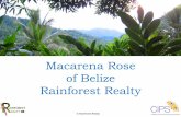 Macarena Rose of Belize Rainforest Realty · Macarena Rose Pastor Kotch . Title: Slide 1 Author: Yvette Created Date: 10/25/2011 1:12:37 PM ...
