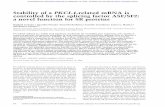 Stabilityofa PKCI-1-relatedmRNAis ...genesdev.cshlp.org/content/16/5/594.full.pdf · StabilityofaPKCI-1-relatedmRNAis controlledbythesplicingfactorASF/SF2: anovelfunctionforSRproteins