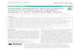 Integrated metabolomic and transcriptomic analysis of the ... · Integrated analysis of transcriptomics and metabolomics showed that cyanidin 3,5-O-diglucoside, malvidin 3,5-diglucoside,