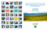 Alpine Biodiversity in Europe: An Introduction - gloria.ac.at · 8 9 Vegetation In Europe, most nival summits are found in the Alps and the Caucasus, along with a few peaks in the