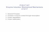PCEUT 527 Enzyme Induction: Biochemical Mechanisms 2/13/17courses.washington.edu/medch527/PDFs/527_17Thummel... · • Structurally diverse molecules can induce CYP3A via the same