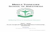 MIDDLE TENNESSEE SCHOOL OF ANESTHESIA€¦ · MTSA is single-purpose, regionally accredited, anesthesia-specific, graduate degree granting program with an innovative curriculum and
