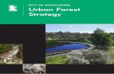 CITY OF WHITEHORSE Urban Forest Strategy · adaptable to a changing climate. This Interim Urban Forest Strategy outlines the key targets, actions and principles that will assist in