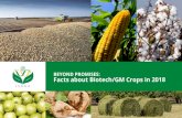 Beyond Promises: Facts about Biotech/Gm Crops in …...Beyond Promises: Facts about Biotech/Gm Crops in 2018 inTroduCTion 2018 was the 23rd year of commercialization of biotech/GM