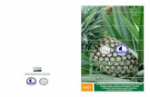 PINEAPPLE CULTIVATION GUIDE · In Micronesia, pineapple fruits are harvested 4-7 months after flower initiation or after 15-22 months of planting. Fruit is harvested by bending it