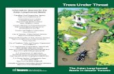 Trees Under Threat - USDA ARS...Response Team in the Greater Toronto Area: Unwelcome Guest, Unwanted Pest T he Asian long-horned beetle (Anoplophora glabripennis), a serious forest