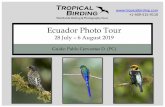 Ecuador Photo Tour - Tropical Birding€¦ · Scarlet-bellied Mountain Tanager, Masked and Glossy Flowerpiercers, Yellow-breasted Brushfinch, Great Sapphirewing, Shining Sunbeam,