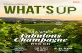 REGION · 2020-07-17 · REGION ENJOY A CHAMPAGNE FLIGHT IN THIS VINEYARD Indulge yourself at this brewery Fall in love with the city of Reims & So Much More! FREE WHAT TO SEE | WHAT