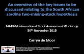 An overview of the key issues to be discussed relating to ... · MARAM International Stock Assessment Workshop 30 th November 2015. Carryn de Moor. Marine Resource Assessment and