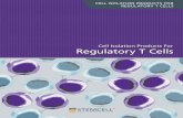 BR29976-Cell Isolation Products Regulatory T Cells€¦ · 4 Regulatory T Cells Regulatory T cells (Tregs) have the ability to suppress T cell responses and play a critical role in