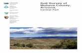 Soil Survey of Mohave County, Arizona, Central Part · agencies including the Agricultural Experiment Stations, and local agencies. The Natural Resources Conservation Service (formerly