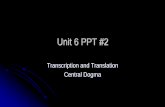 Unit 6 PPT #2 - Liberty Union High School District · 2016-01-02 · Vocabulary for ppt 2 Transcription and Translation • Genes Chapter 8.4 and 8.5 • DNA • RNA • Protein •