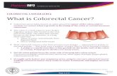 COLORECTAL CANCER (CRC) What is Colorectal Cancer? Colorectal cancer (also known as colon cancer) is