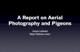 A Report on Aerial Photography and Origins of Aerial Photography â€¢ 1839 â€“ Photography invented â€¢