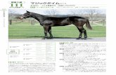 111stream.sundaytc.co.jp/catalog/94111.pdfRoberto Kelley's Day Sadler's Wells *クリスザレディー(13) スピードの追求を目指した実力馬同士の配合は、現状のデキを見る