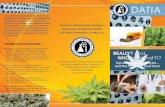 Ten Marijuana Myths DATIAdatia.org/datia/eNews/marijuana_longbrochure.pdfof: mental illness (Burns, 2013), heart disease (Montecucco, 2012), cancer (Marks, 2013), lung disease (Mehra,