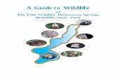 A Guide to WildlifeAfrican Hippopotamus 17 Chapter 2 – Birds Pelicans Brown Pelican 18 American White Pelican 19 Anhingas Anhinga 20 ... Snakes Non Venomous Racers Black Racer 84