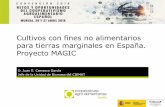 Cultivos con fines no alimentarios para tierras marginales ... · Spain: Economic and Energy analyses. Actas de la 24th European Biomass Conference and Exhibition, 6-9 Junio 2016,