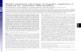 Blimp1-mediated repression of negative regulators is ... · Blimp1-mediated repression of negative regulators is required for osteoclast differentiation Keizo Nishikawaa,b, Tomoki