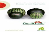 The Convenient Watermelon - Rijk Zwaan · Dulce con un bocado crujiente y con un menor impacto de las semillas. Cultivo principal o polinizador Tamaño x2 Práctico Doble aptitud